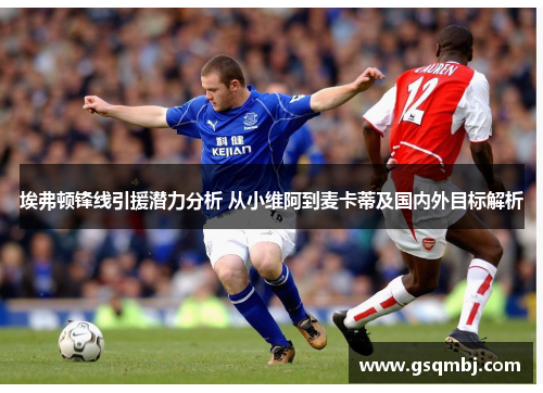 埃弗顿锋线引援潜力分析 从小维阿到麦卡蒂及国内外目标解析 埃弗顿锋线引援潜力分析 从小维阿到麦卡蒂及国内外目标解析